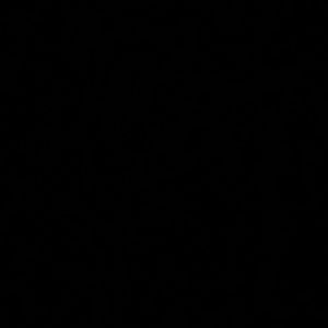 Meet your Posher, Charles